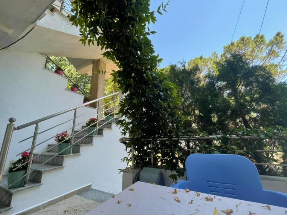 Aparthotel Vila Tufi Velipojë Eksteriør billede